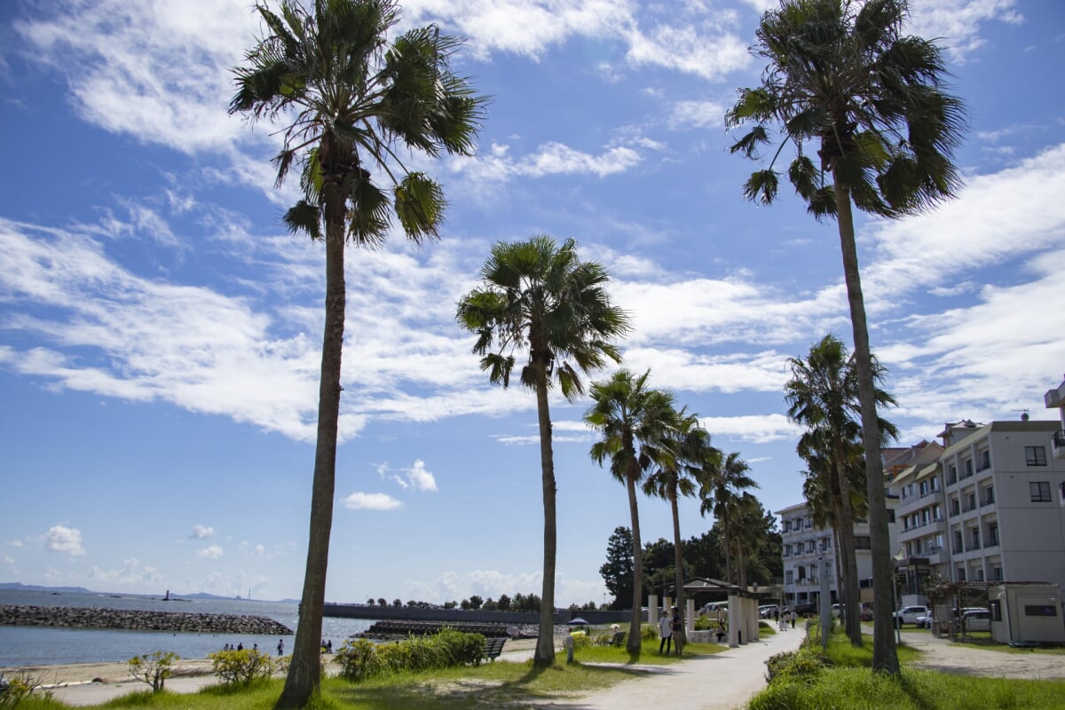 吉良ワイキキビーチ(宮崎海水浴場)の写真3