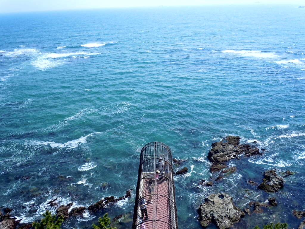 三崎公園の写真2