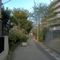 幡ヶ谷新道公園