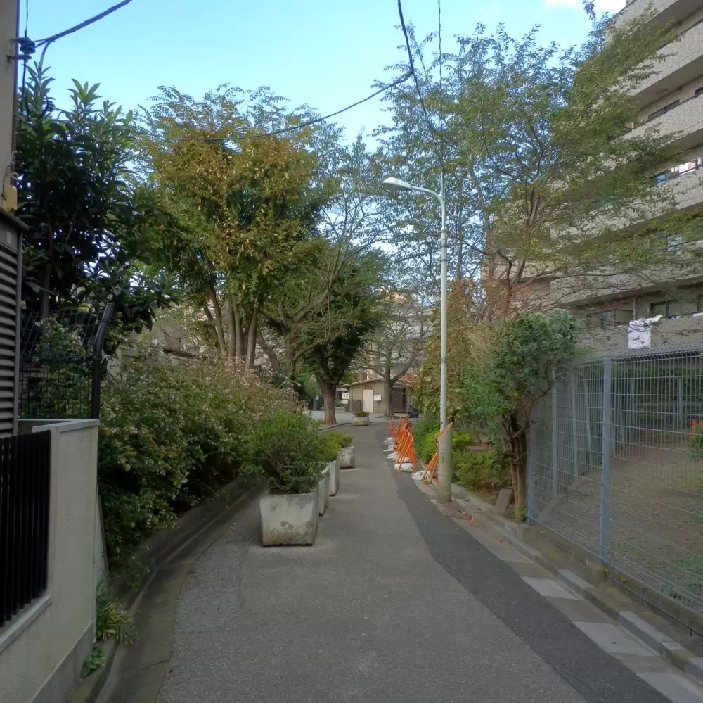 幡ヶ谷新道公園の写真1