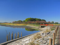 県立 多々良沼公園