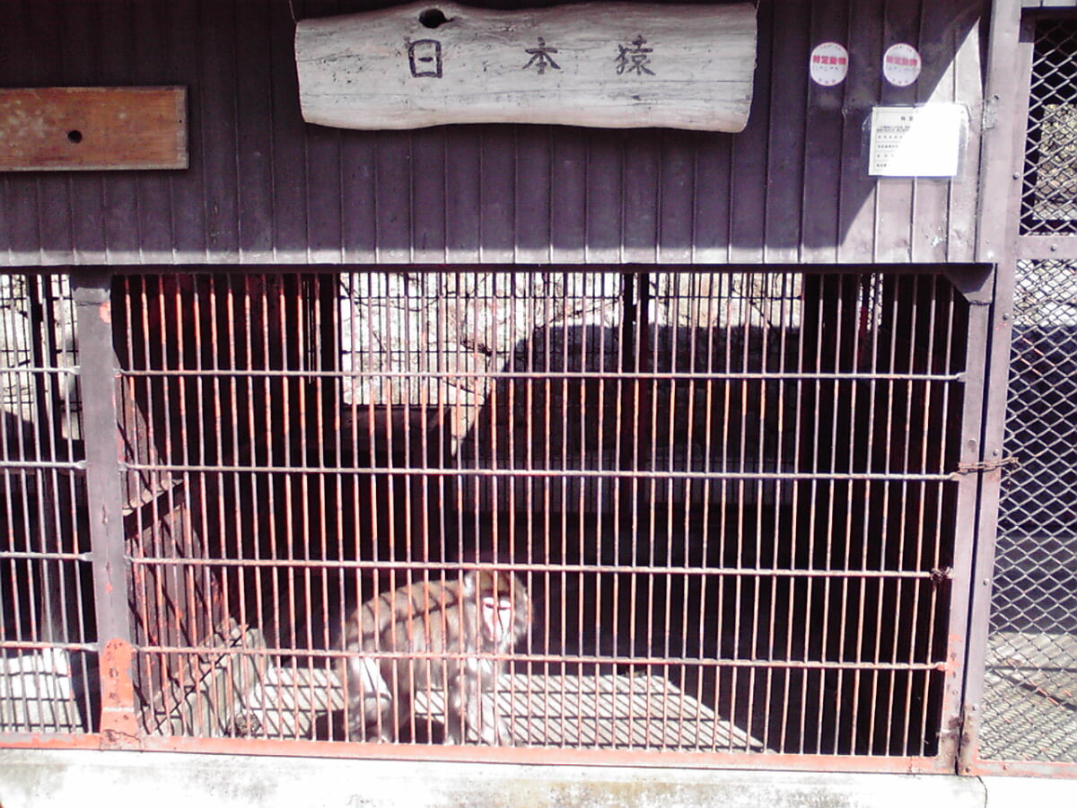 亀城公園の写真2