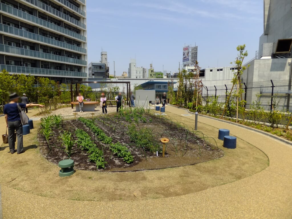 目黒天空庭園・オーパス夢ひろばの写真7