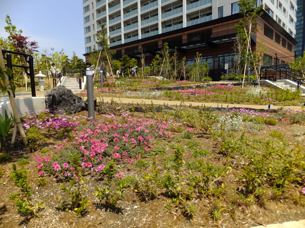 目黒天空庭園・オーパス夢ひろばの写真12