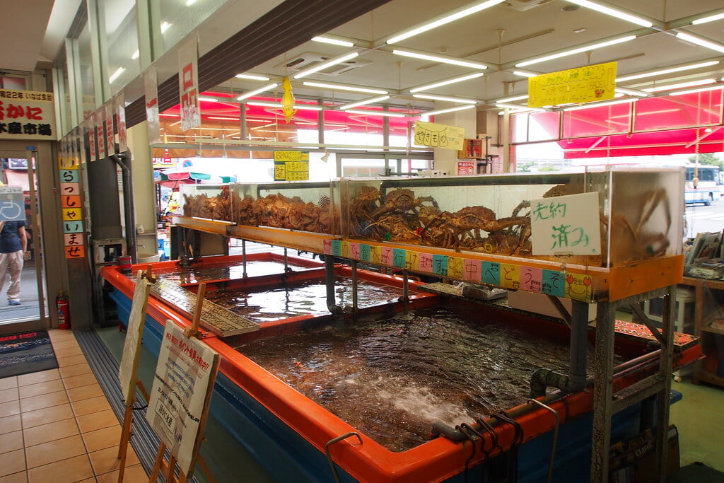 函館朝市の写真4