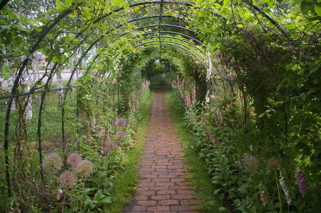 上野ファームの写真2