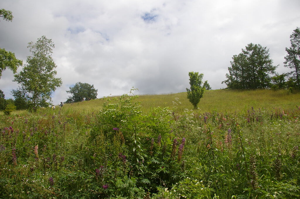 上野ファームの写真4