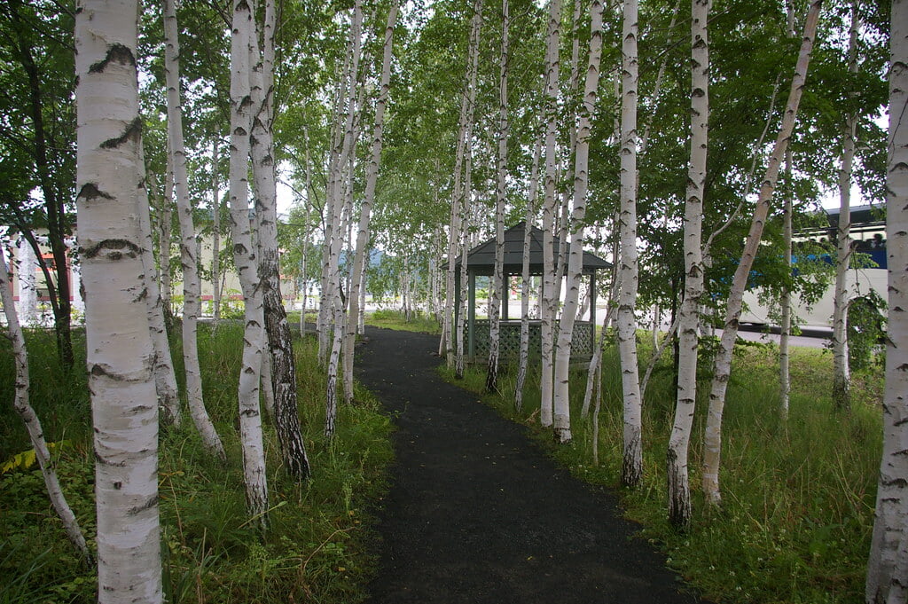 上野ファームの写真5