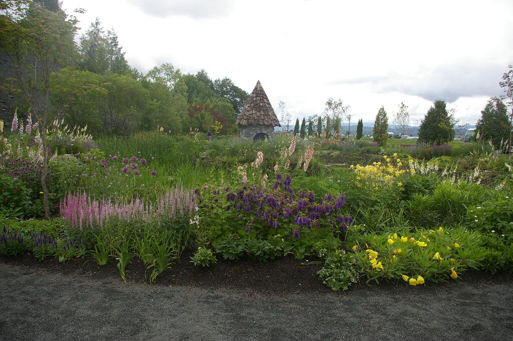 上野ファームの写真7