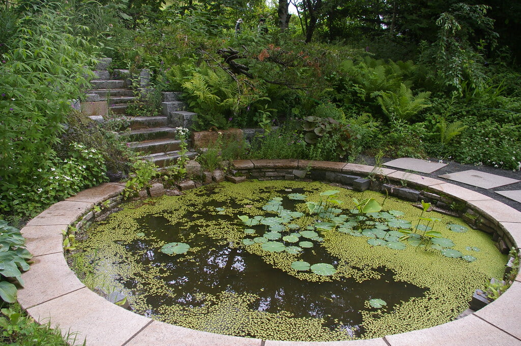 上野ファームの写真8