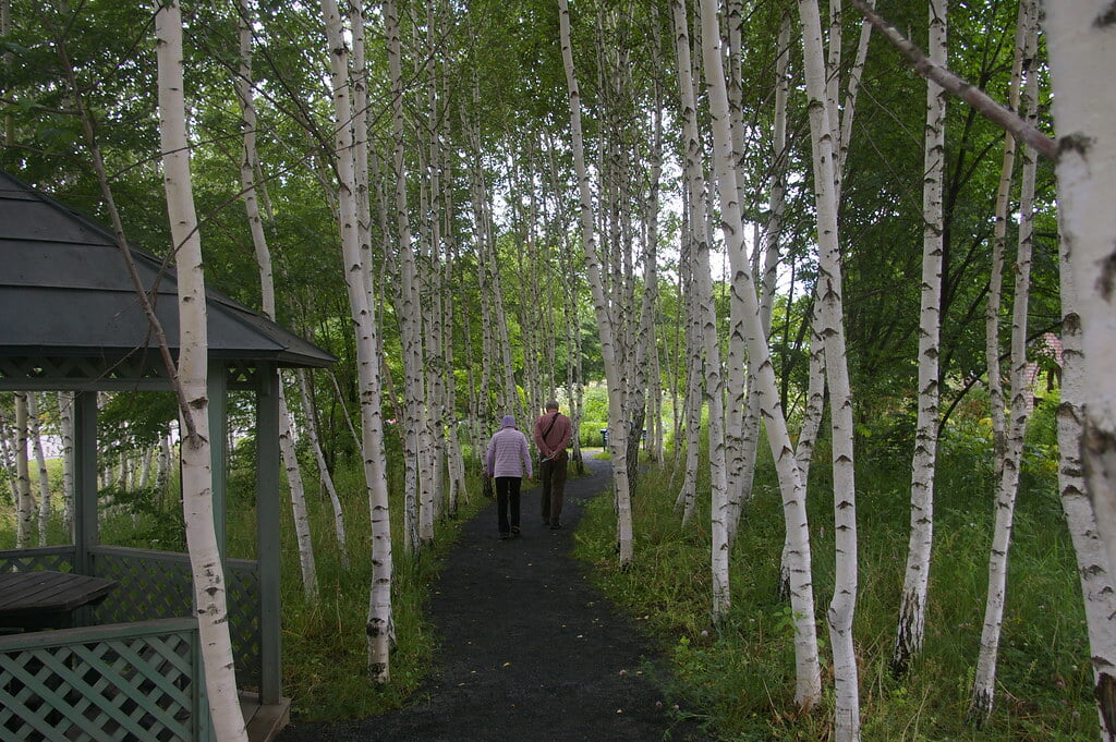 上野ファームの写真9