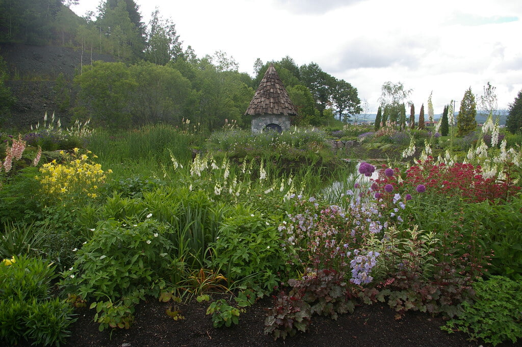 上野ファームの写真10