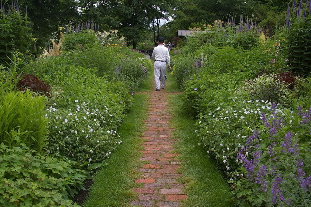 上野ファームの写真1