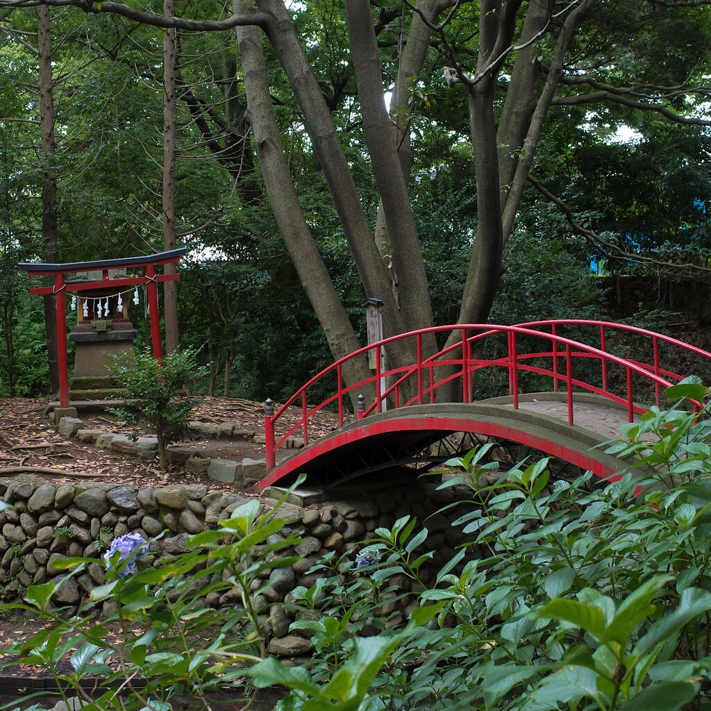 川越大師 喜多院の写真3