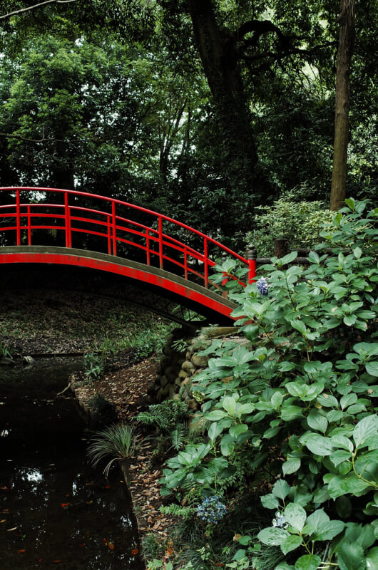 川越大師 喜多院の写真6