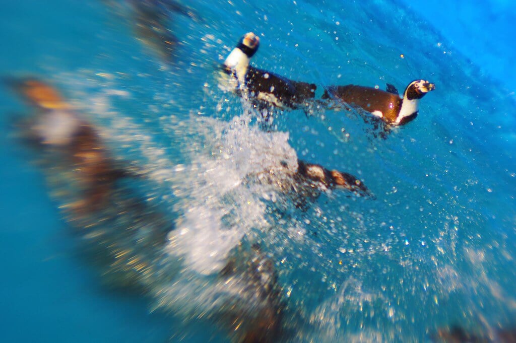 市立室蘭水族館の写真3