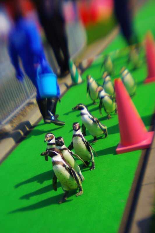 市立室蘭水族館の写真5