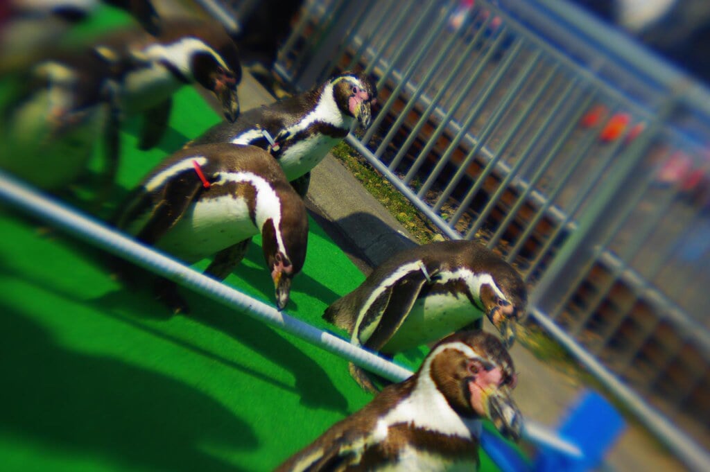 市立室蘭水族館の写真1