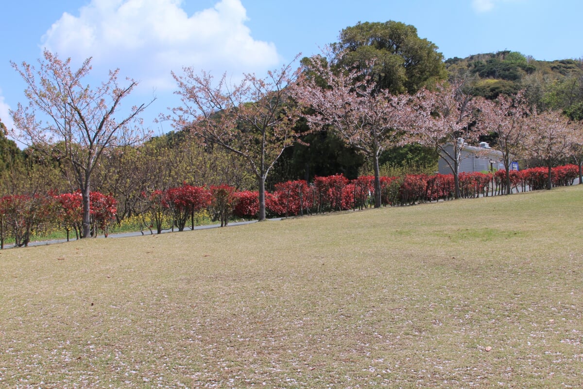 あんずの里運動公園の写真2