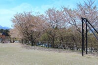 あんずの里運動公園