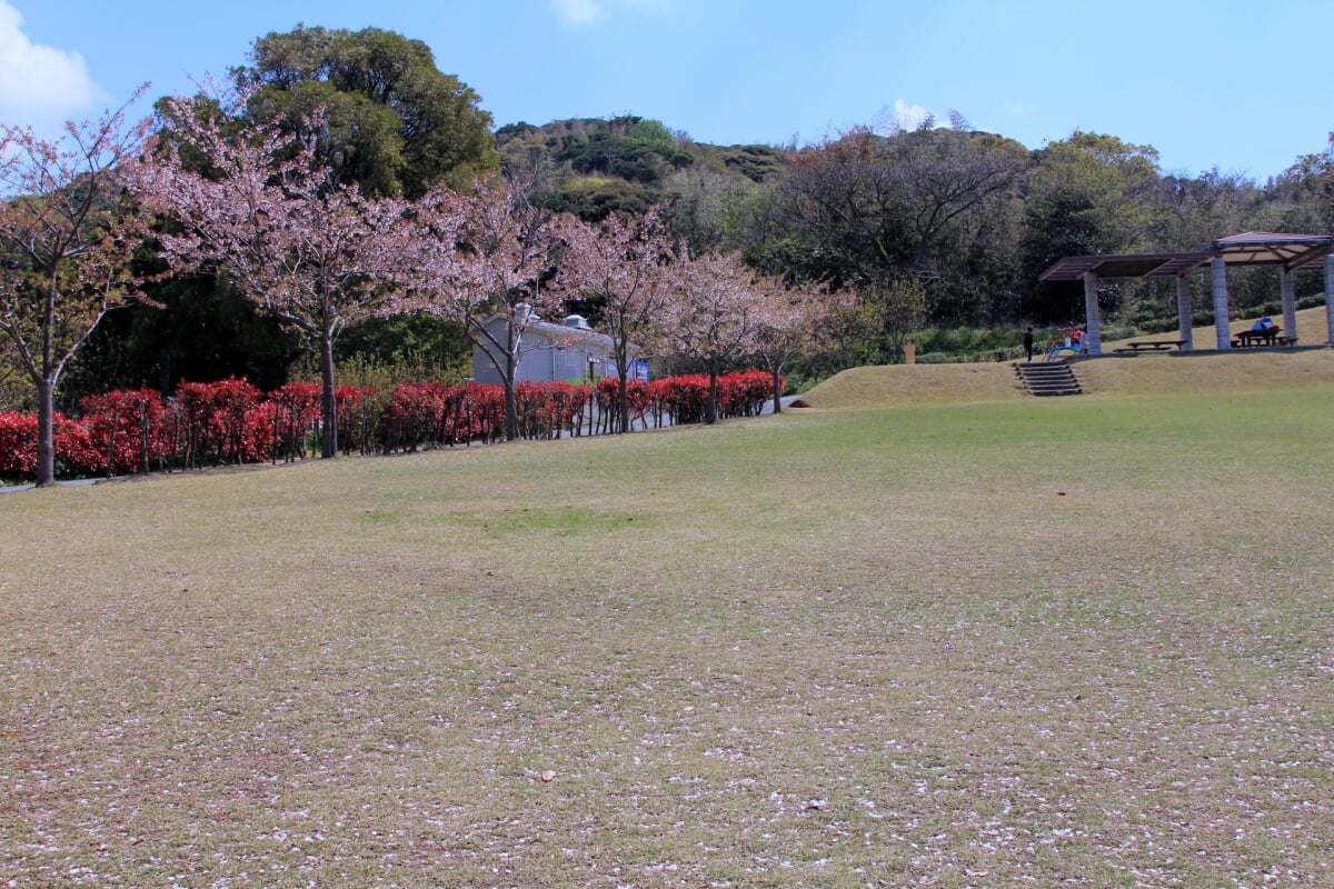 あんずの里運動公園の写真3