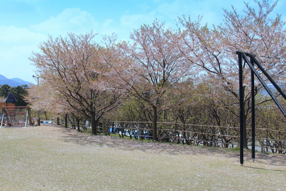 あんずの里運動公園の写真1