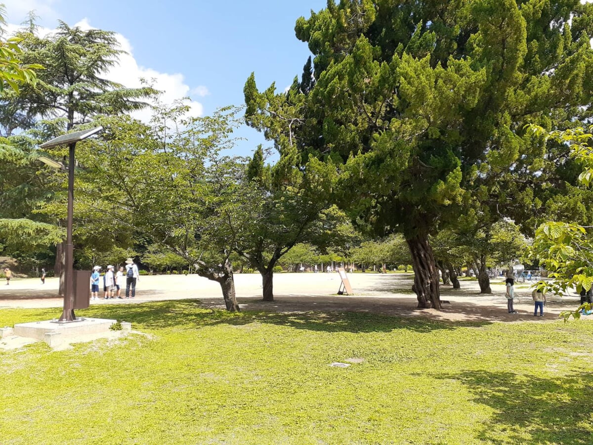 道後公園の写真2