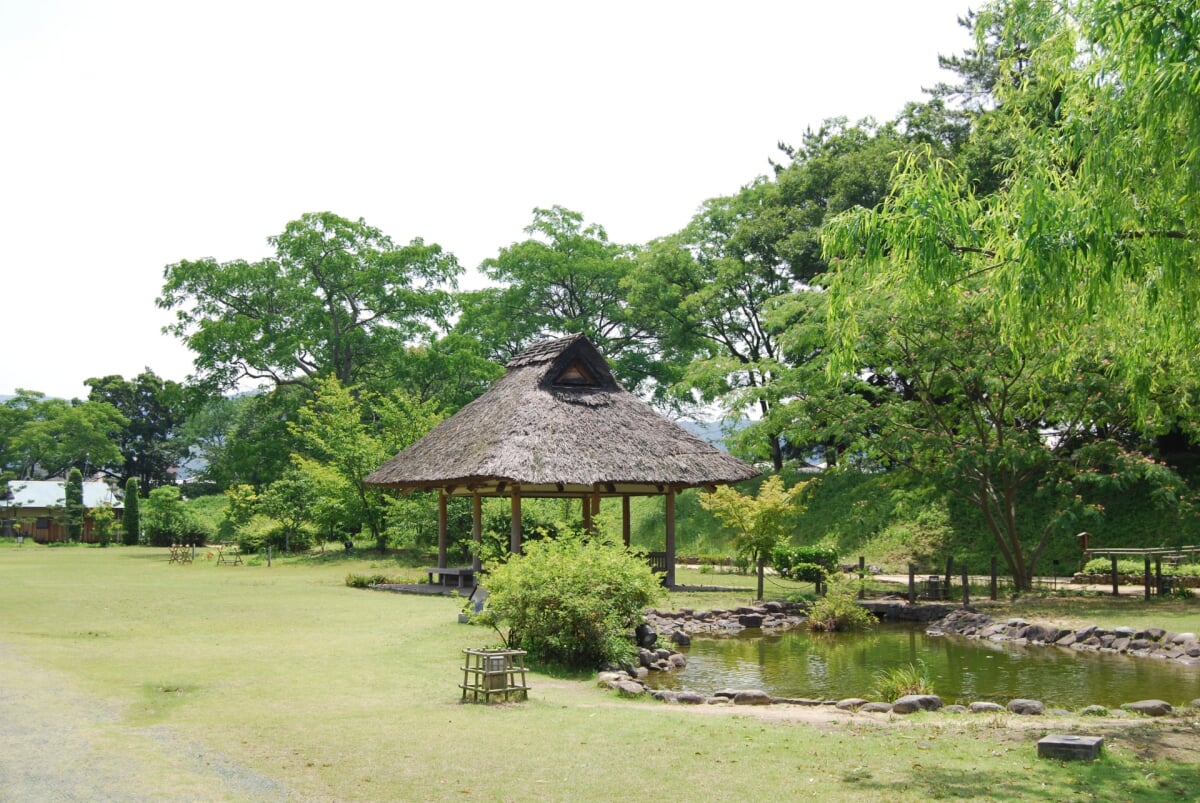 道後公園の写真8