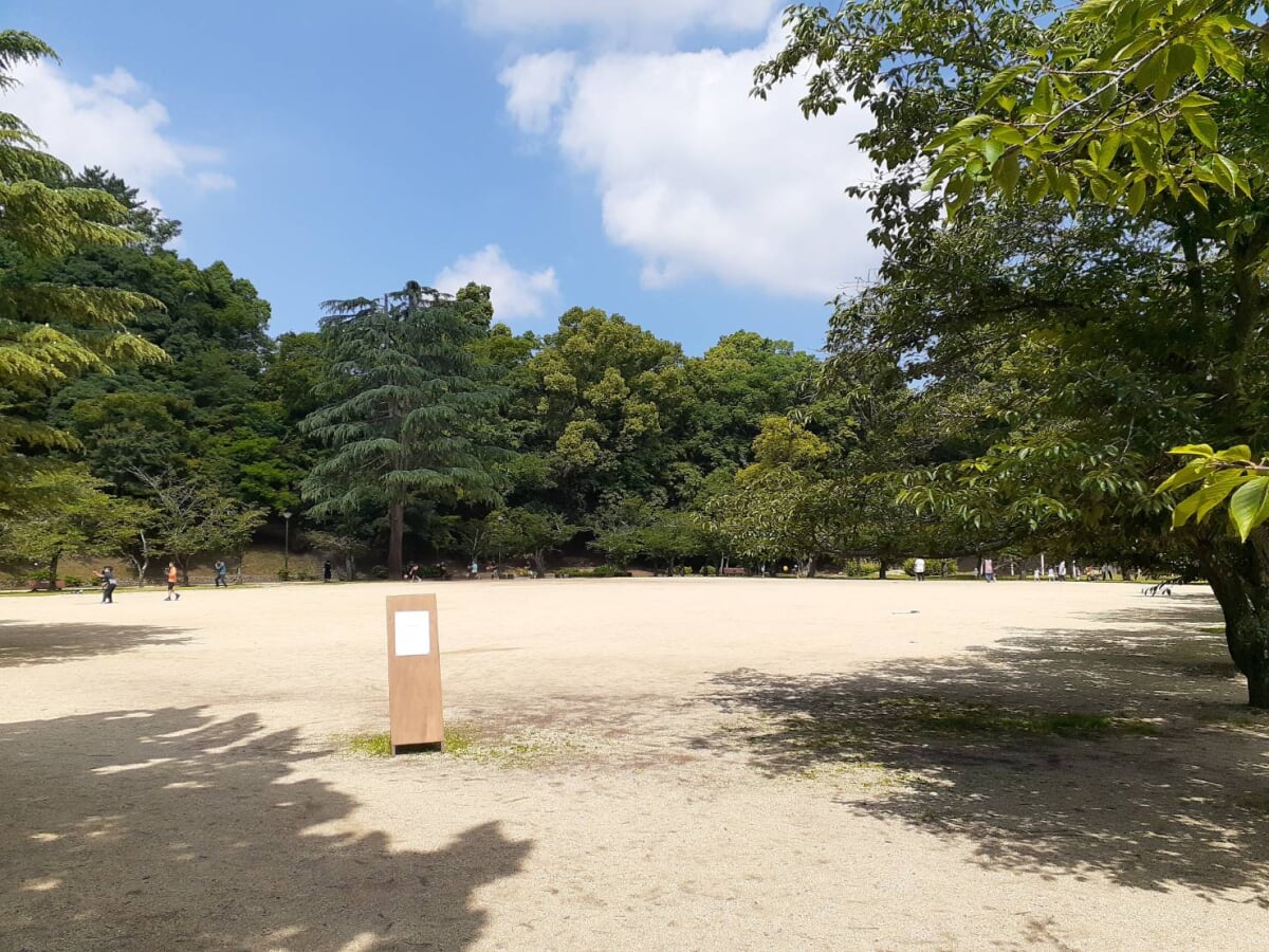 道後公園の写真9