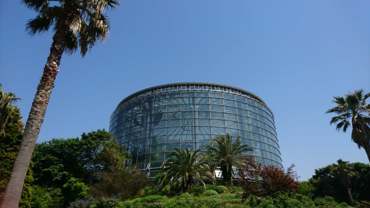 三陽メディアフラワーミュージアムの写真2