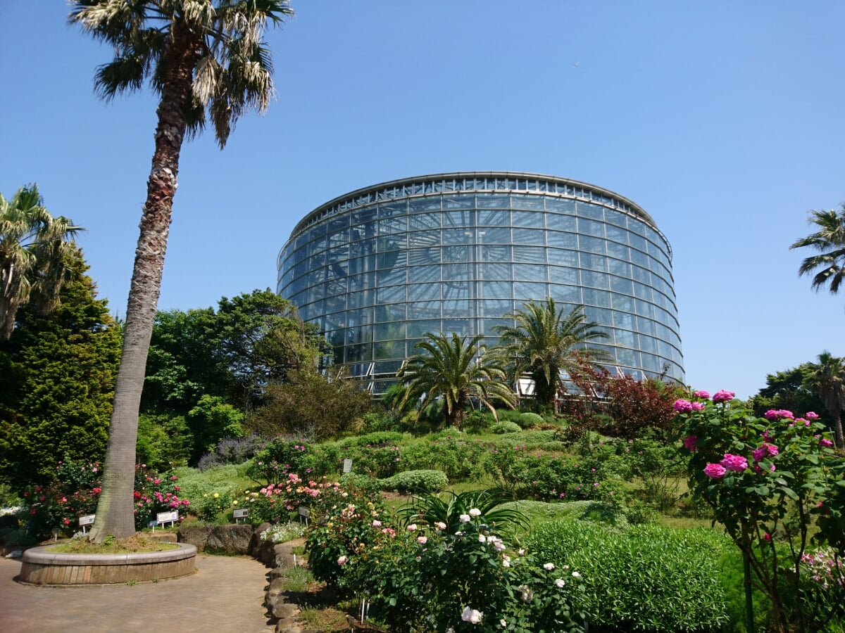 三陽メディアフラワーミュージアムの写真1