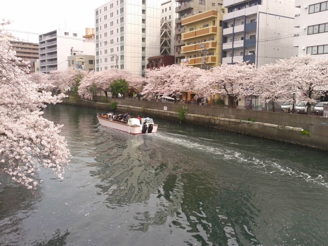 大岡川プロムナードの写真2