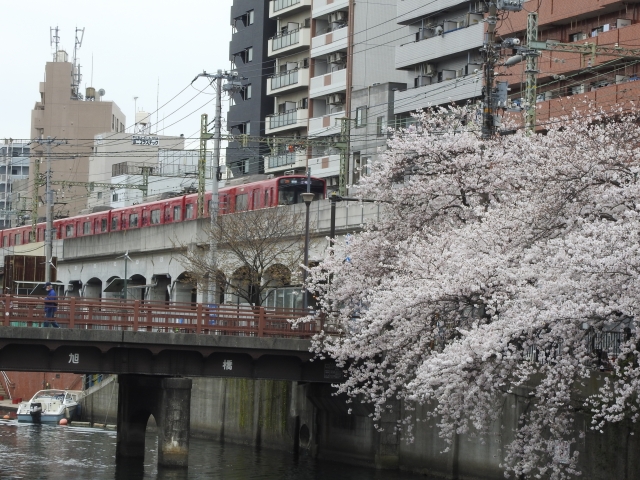 大岡川プロムナードの写真3