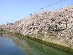 大岡川プロムナードの写真1