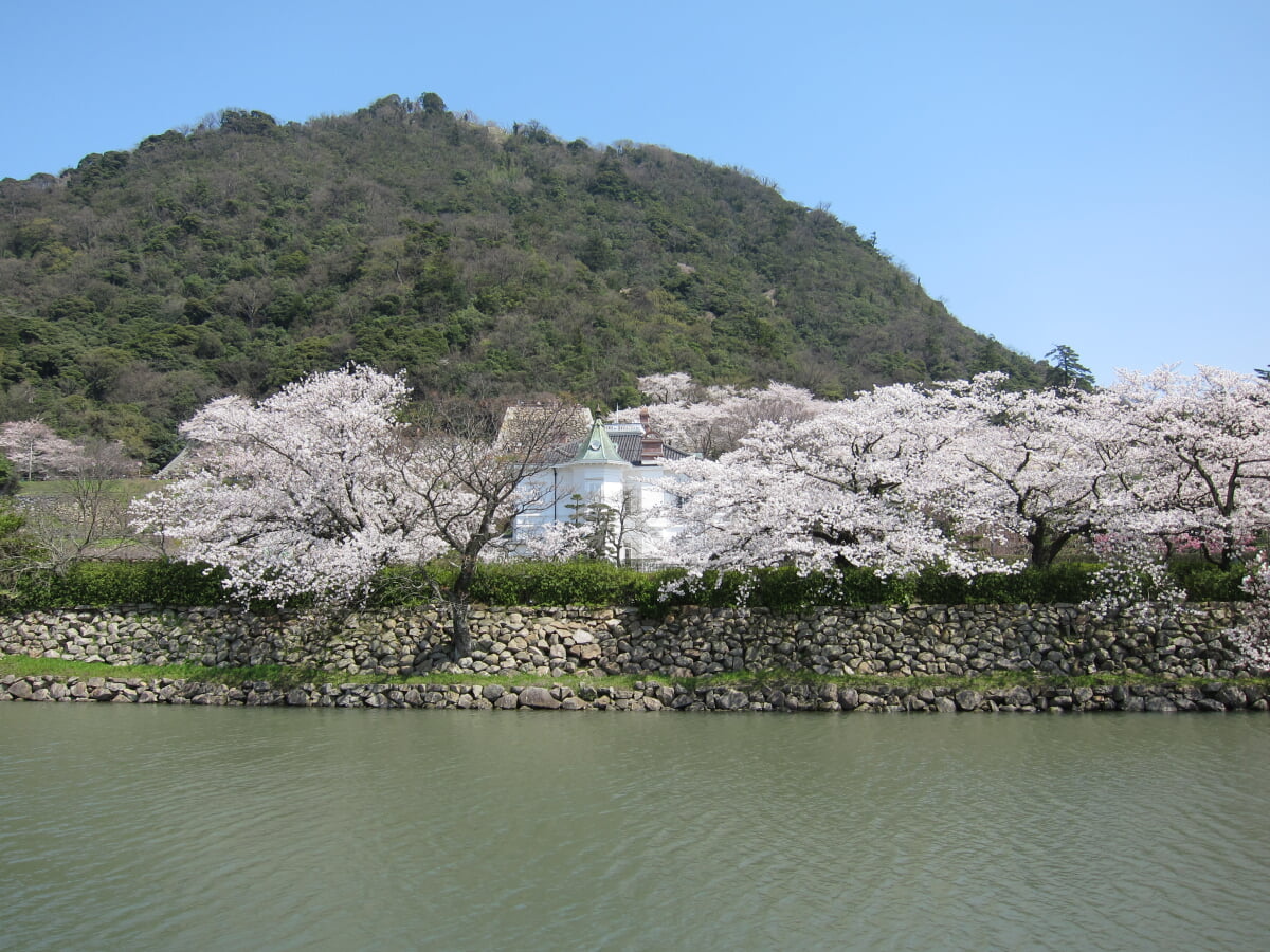 久松公園の写真2