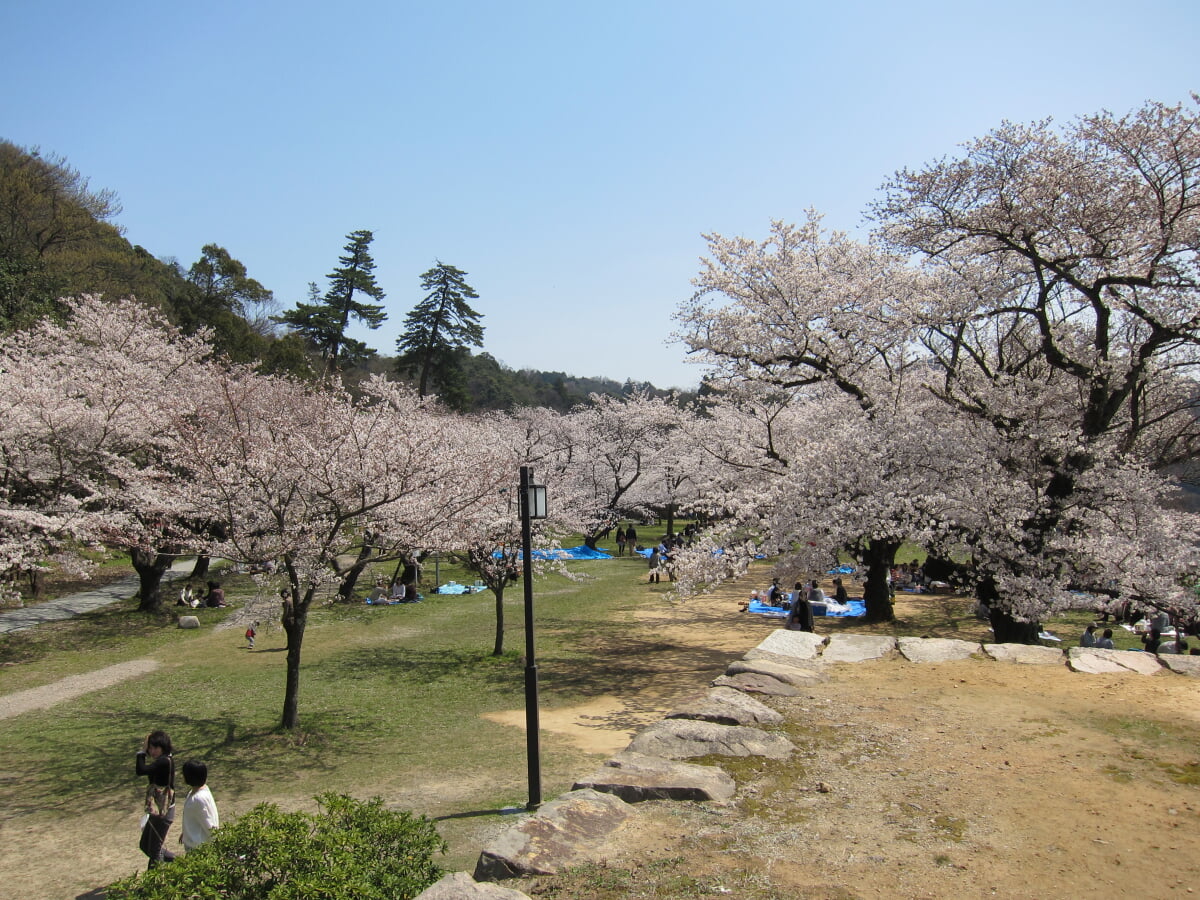 久松公園の写真3