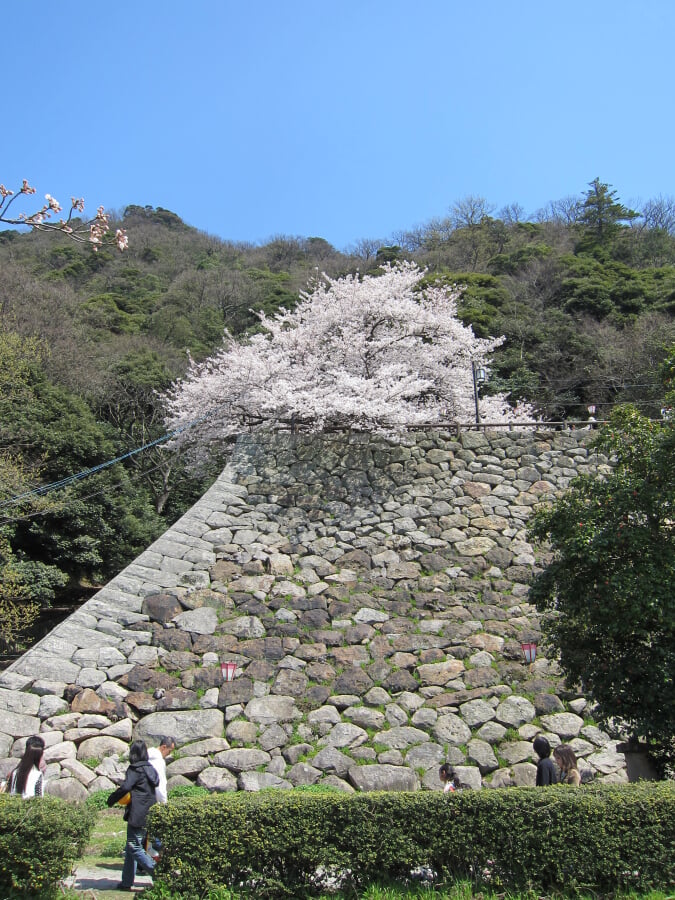 久松公園の写真6