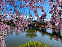 九華公園(桑名城跡)