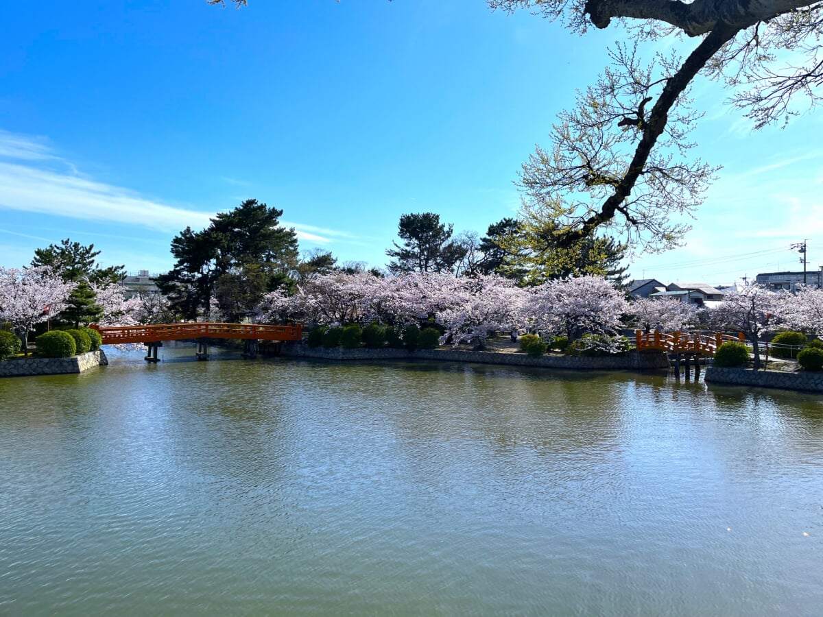 九華公園(桑名城跡)の写真5