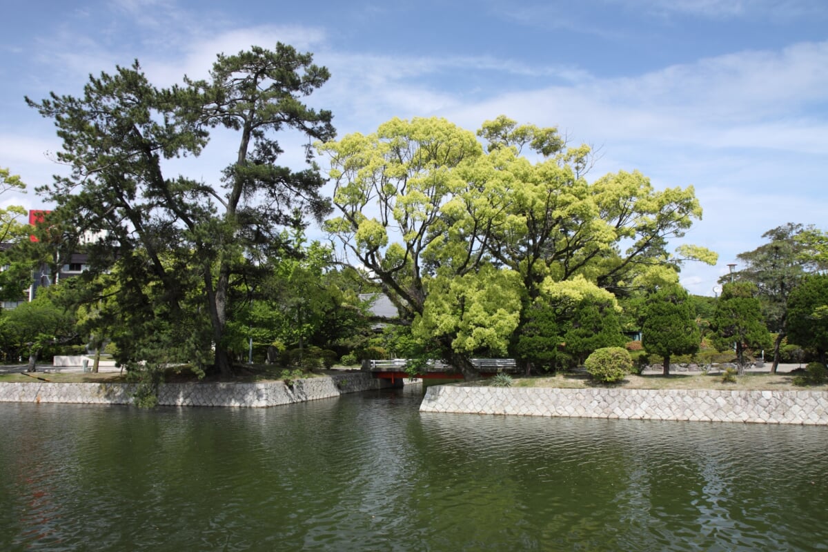 九華公園(桑名城跡)の写真6