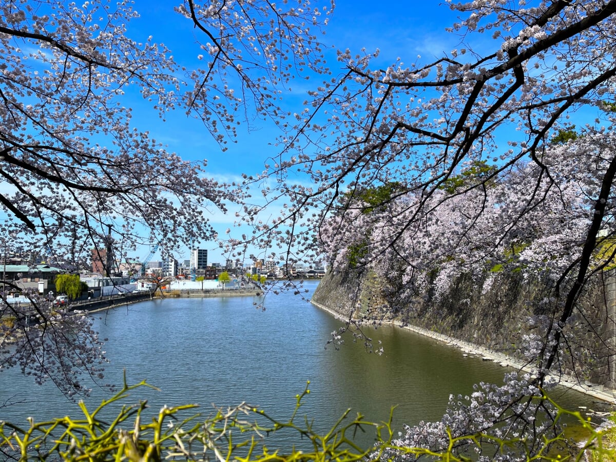 九華公園(桑名城跡)の写真8