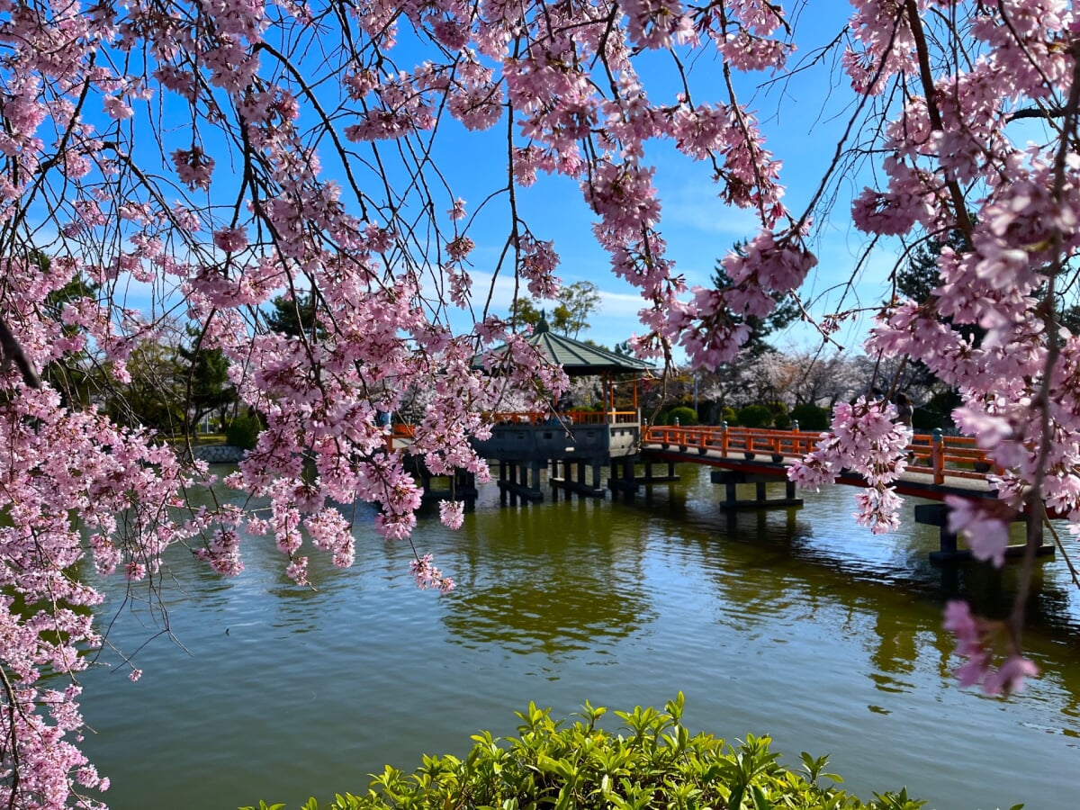 九華公園(桑名城跡)の写真1