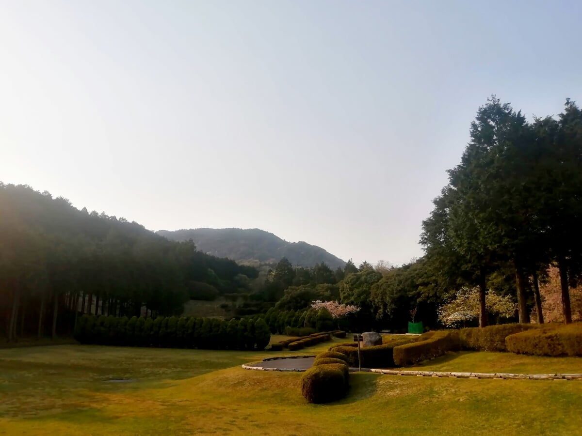 三重県民の森の写真7