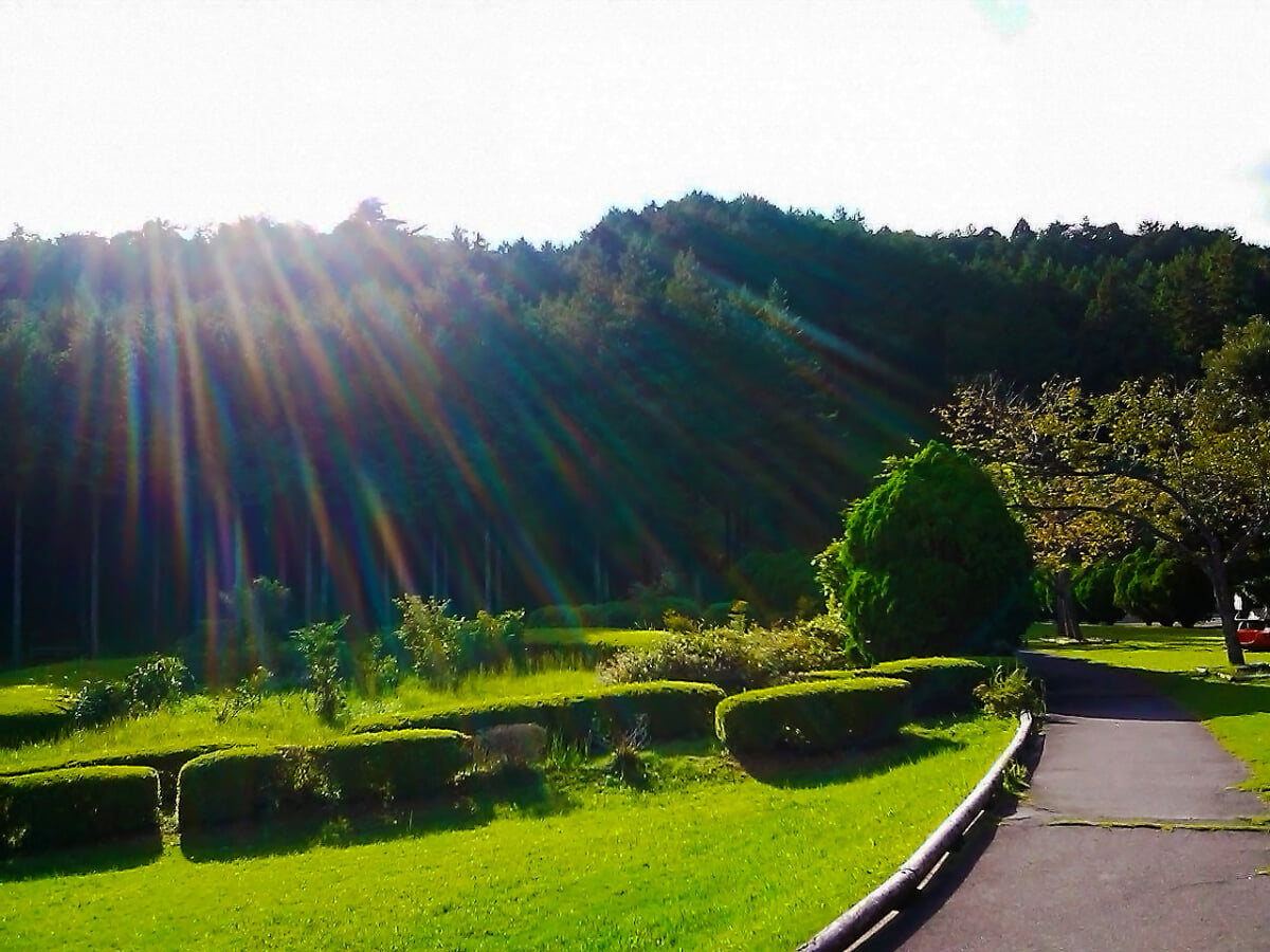 三重県民の森の写真1