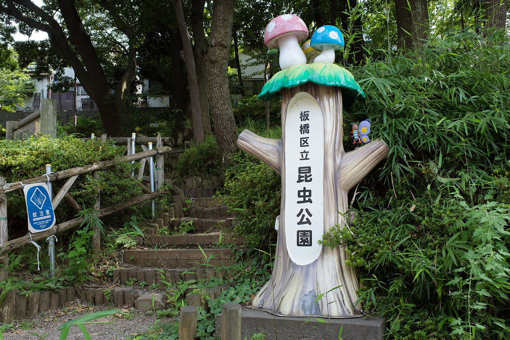 昆虫公園の写真1