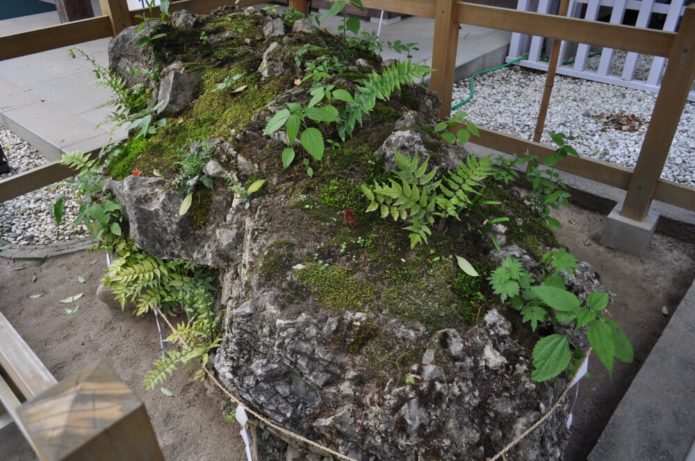 武田神社の写真8
