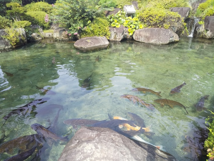 甲斐善光寺の写真2