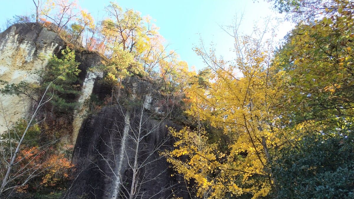 大谷景観公園の写真5