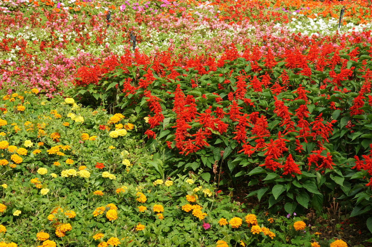 ひめゆり平和祈念資料館の写真6