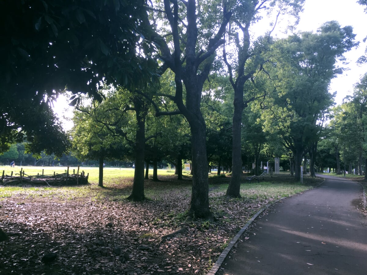 入船公園の写真1